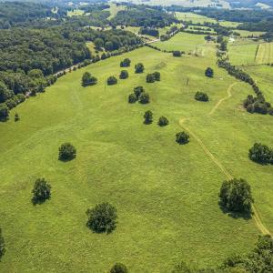 Photo #22 of 35-14F GALENA RD, STAUNTON, VA 48.0 acres