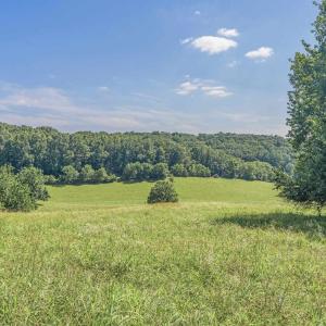 Photo #3 of 35-14F GALENA RD, STAUNTON, VA 48.0 acres