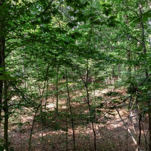 Photo #18 of 99 OAKMONT DR, GORDONSVILLE, VA 0.7 acres