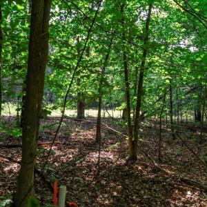 Photo #16 of 99 OAKMONT DR, GORDONSVILLE, VA 0.7 acres