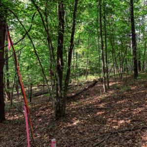 Photo #15 of 99 OAKMONT DR, GORDONSVILLE, VA 0.7 acres