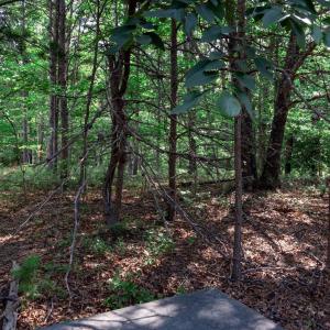 Photo #12 of 99 OAKMONT DR, GORDONSVILLE, VA 0.7 acres