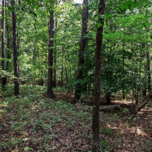 Photo #13 of 99 OAKMONT DR, GORDONSVILLE, VA 0.7 acres