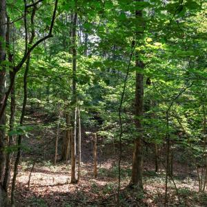 Photo #14 of 99 OAKMONT DR, GORDONSVILLE, VA 0.7 acres