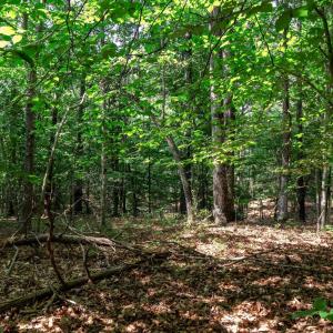 Photo #17 of 99 OAKMONT DR, GORDONSVILLE, VA 0.7 acres