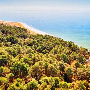 Photo #13 of Lot # 2 ELLIOTTS CREEK LN, CAPE CHARLES, VA 2.0 acres