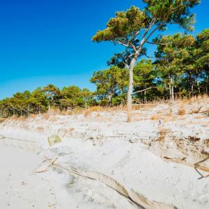 Photo #3 of Lot # 2 ELLIOTTS CREEK LN, CAPE CHARLES, VA 2.0 acres