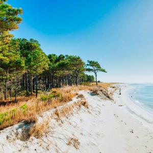 Photo #4 of Lot # 2 ELLIOTTS CREEK LN, CAPE CHARLES, VA 2.0 acres