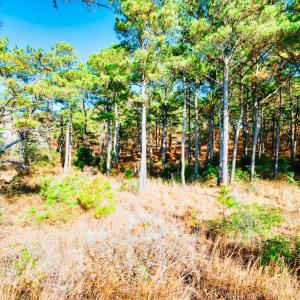 Photo #10 of Lot # 2 ELLIOTTS CREEK LN, CAPE CHARLES, VA 2.0 acres