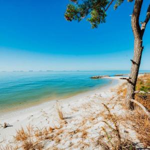 Photo #11 of Lot # 2 ELLIOTTS CREEK LN, CAPE CHARLES, VA 2.0 acres