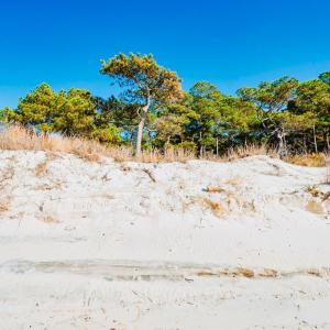 Photo #14 of Lot # 2 ELLIOTTS CREEK LN, CAPE CHARLES, VA 2.0 acres