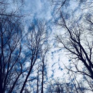 Photo #8 of TBD RUNNING DEER DR, KESWICK, VA 37.3 acres