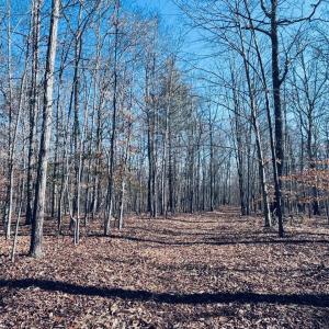 Photo #1 of TBD RUNNING DEER DR, KESWICK, VA 37.3 acres