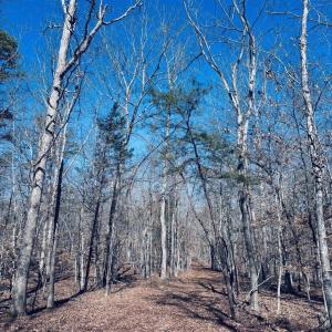 Photo #6 of TBD RUNNING DEER DR, KESWICK, VA 37.3 acres