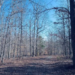 Photo #4 of TBD RUNNING DEER DR, KESWICK, VA 37.3 acres