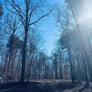 Photo #7 of TBD RUNNING DEER DR, KESWICK, VA 37.3 acres