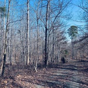 Photo #5 of TBD RUNNING DEER DR, KESWICK, VA 37.3 acres