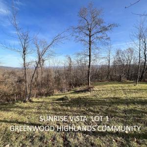 Photo #2 of 1 BLACKBERRY RIDGE RD, GREENWOOD, VA 2.8 acres