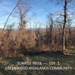 Photo #3 of 1 BLACKBERRY RIDGE RD, GREENWOOD, VA 2.8 acres
