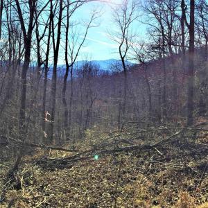Photo #6 of 1 BLACKBERRY RIDGE RD, GREENWOOD, VA 2.8 acres