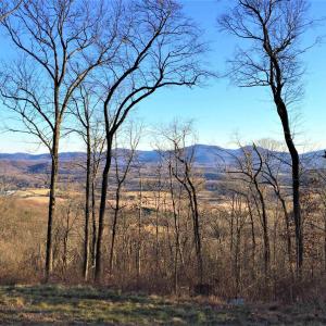 Photo #1 of 1 BLACKBERRY RIDGE RD, GREENWOOD, VA 2.8 acres