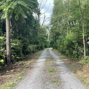 Photo #2 of Block A Lot 1 SWANNANOA LN, AFTON, VA 0.5 acres