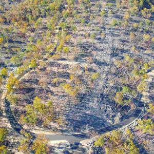 Photo #34 of CALF MOUNTAIN RD, WAYNESBORO, VA 263.0 acres