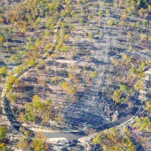 Photo #2 of CALF MOUNTAIN RD, WAYNESBORO, VA 263.0 acres