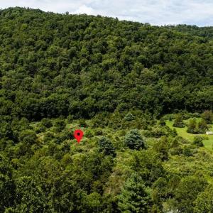 Photo #9 of TBD COWPASTURE RIVER RD S, WILLIAMSVILLE, VA 16.2 acres