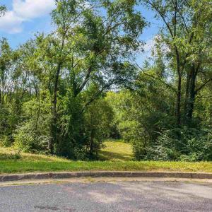 Photo #2 of 581 MYERS AVE, HARRISONBURG, VA 2.2 acres