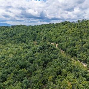 Photo #16 of TBD FOX RUN LN, WAYNESBORO, VA 9.8 acres