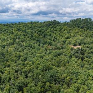 Photo #22 of TBD FOX RUN LN, WAYNESBORO, VA 9.8 acres