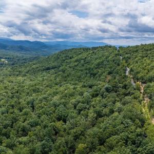 Photo #17 of TBD FOX RUN LN, WAYNESBORO, VA 9.8 acres