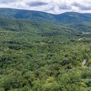 Photo #20 of TBD FOX RUN LN, WAYNESBORO, VA 9.8 acres