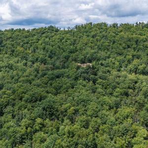 Photo #14 of TBD FOX RUN LN, WAYNESBORO, VA 9.8 acres