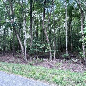 Photo #2 of TBD OLD SHORE RD, BLACKSTONE, VA 15.5 acres