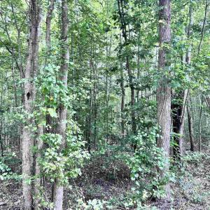 Photo #4 of TBD OLD SHORE RD, BLACKSTONE, VA 15.5 acres