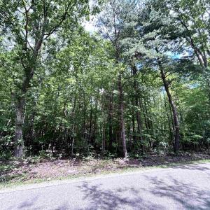 Photo #5 of TBD OLD SHORE RD, BLACKSTONE, VA 15.5 acres
