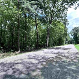 Photo #6 of TBD OLD SHORE RD, BLACKSTONE, VA 15.5 acres