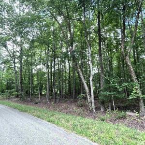 Photo #1 of TBD OLD SHORE RD, BLACKSTONE, VA 15.5 acres