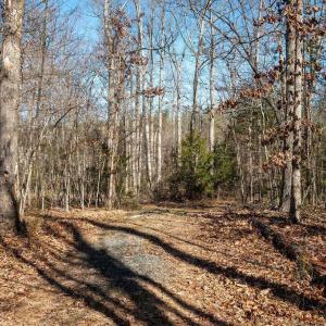 Photo #3 of FRAYS MILL RD, RUCKERSVILLE, VA 81.4 acres