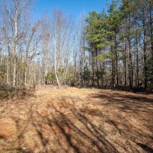 Photo #4 of FRAYS MILL RD, RUCKERSVILLE, VA 81.4 acres