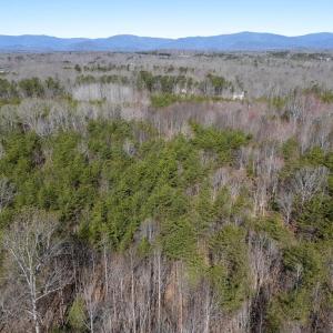 Photo #2 of FRAYS MILL RD, RUCKERSVILLE, VA 81.4 acres