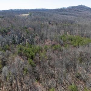 Photo #7 of FRAYS MILL RD, RUCKERSVILLE, VA 81.4 acres