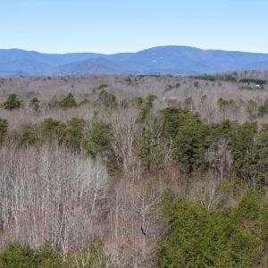 Photo #1 of FRAYS MILL RD, RUCKERSVILLE, VA 81.4 acres