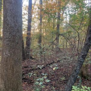 Photo #34 of DUDLEY MOUNTAIN RD, NORTH GARDEN, VA 13.5 acres