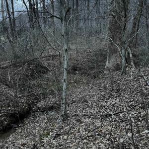 Photo #45 of DUDLEY MOUNTAIN RD, NORTH GARDEN, VA 13.5 acres