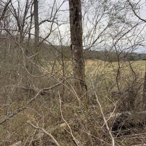 Photo #38 of DUDLEY MOUNTAIN RD, NORTH GARDEN, VA 13.5 acres