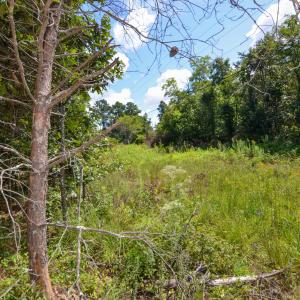 Photo #6 of DUDLEY MOUNTAIN RD, NORTH GARDEN, VA 13.5 acres