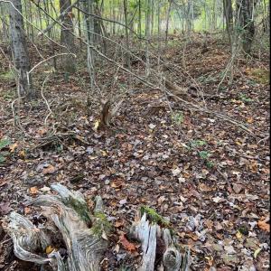 Photo #32 of DUDLEY MOUNTAIN RD, NORTH GARDEN, VA 13.5 acres